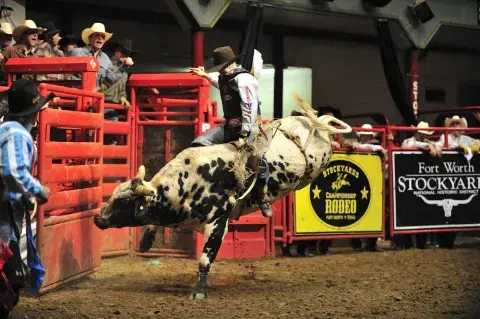 un rodeo a fort worth (texas, stati uniti)