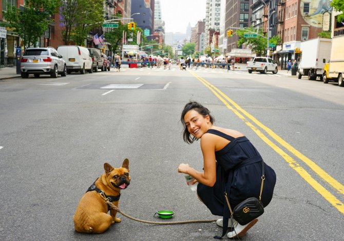 stati uniti con un cane